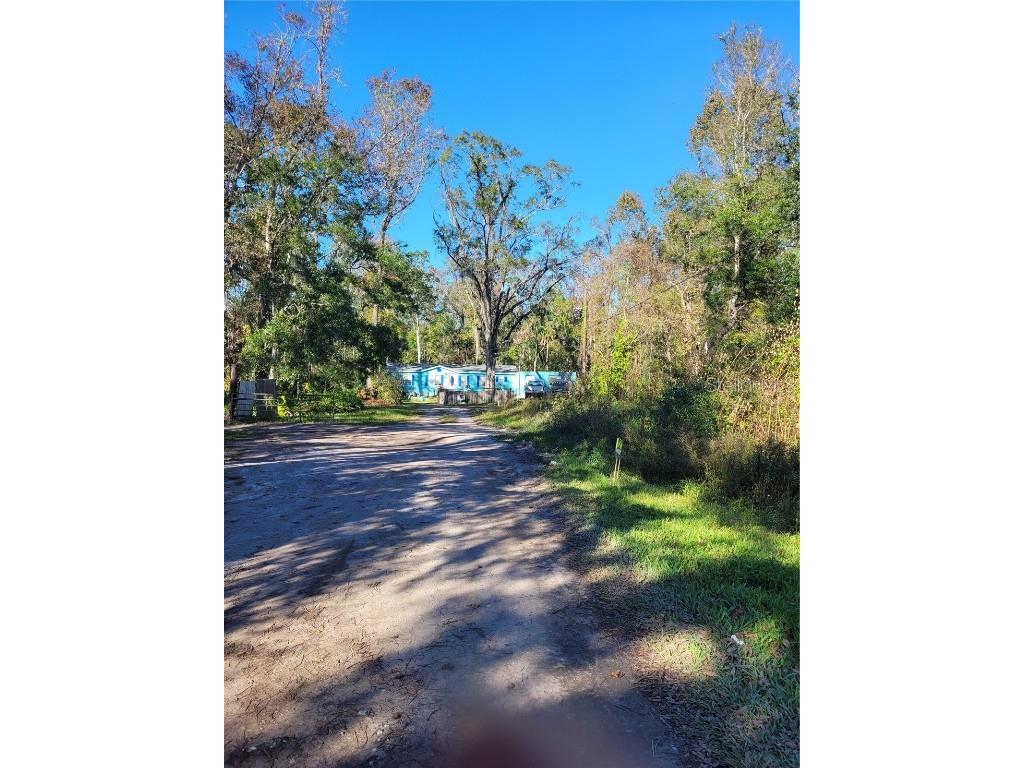 Morena Street #5 New Port Richey FL 34654 W7870547 image9