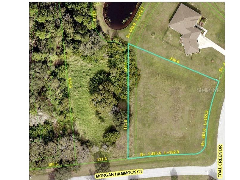 Morgan Hammock Court Parrish FL 34219 A4642586 image1