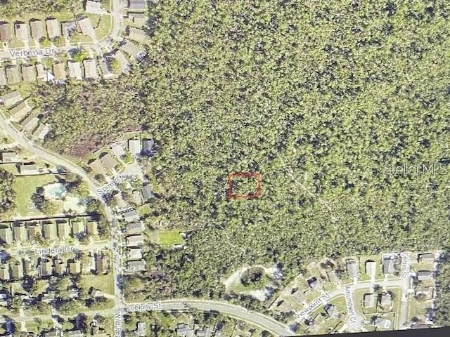 Morgan Paper St Deltona FL 32725 G5107856 image4