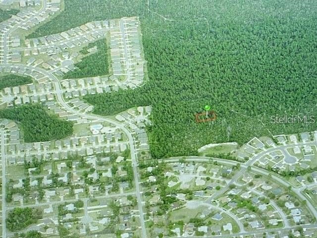 Morgan Paper St Deltona FL 32725 G5107856 image7