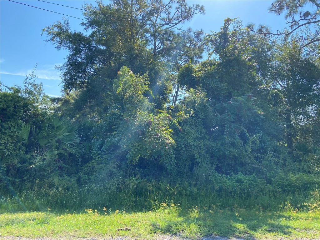 Morgan Paper Street Deltona FL 32725 V4922187 image1