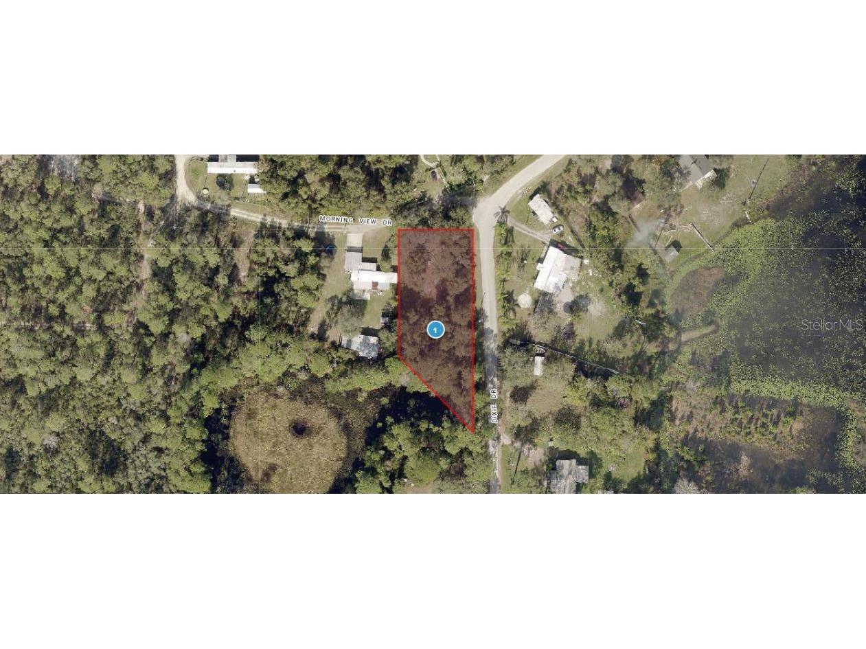 Morning View Drive Paisley FL 32767 O6302711 image1