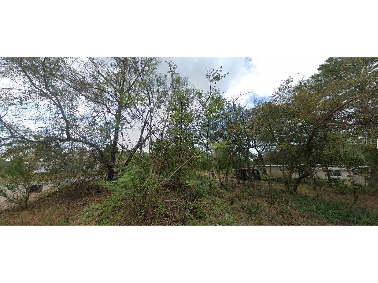 Morning View Drive Paisley FL 32767 O6302711 image2