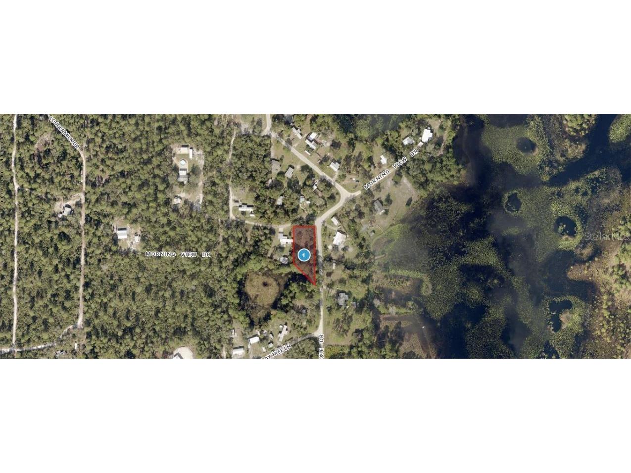 Morning View Drive Paisley FL 32767 O6302711 image3