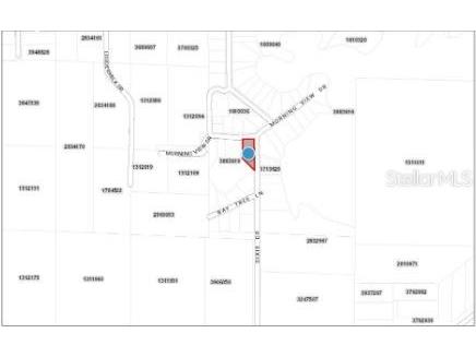 Morning View Drive Paisley FL 32767 O6302711 image6