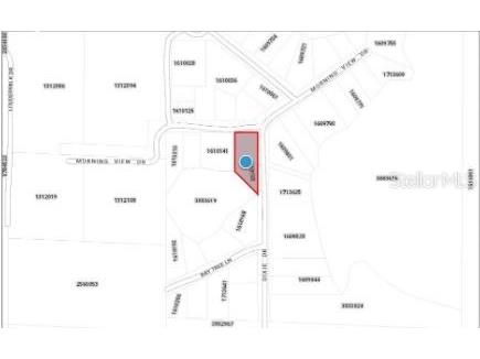 Morning View Drive Paisley FL 32767 O6302711 image7