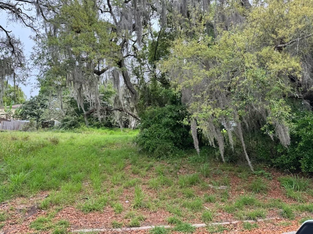 Morningside Drive Eustis FL 32726 G5080072 image1