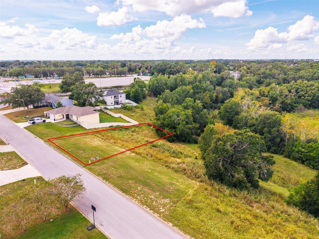 Morningview Drive Eustis FL 32726 O6347025 image2