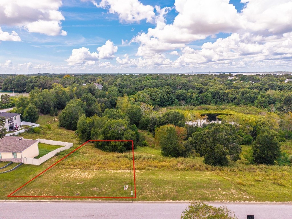 Morningview Drive Eustis FL 32726 O6347025 image3