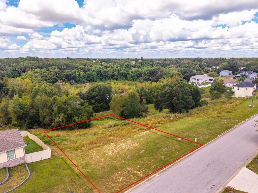 Morningview Drive Eustis FL 32726 O6347025 image7