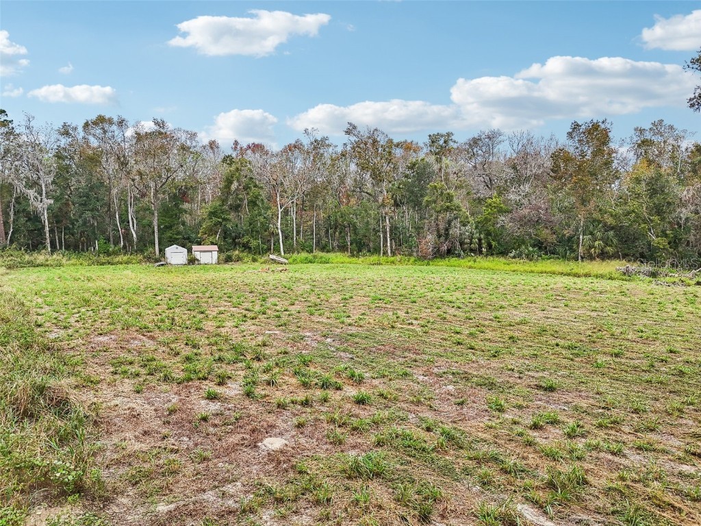 Morrison Road Leesburg FL 34748 G5089940 image20