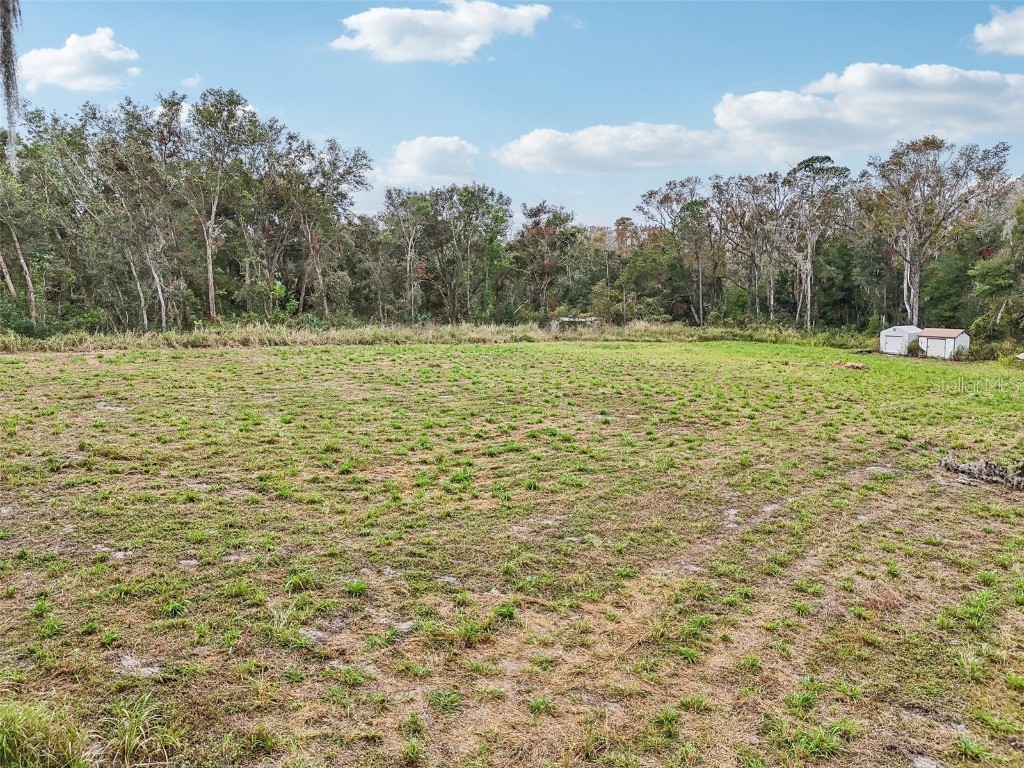 Morrison Road Leesburg FL 34748 G5089940 image5