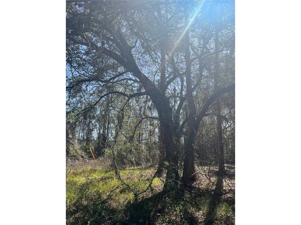 Mount Pleasant Road Groveland FL 34736 G5064948 image12