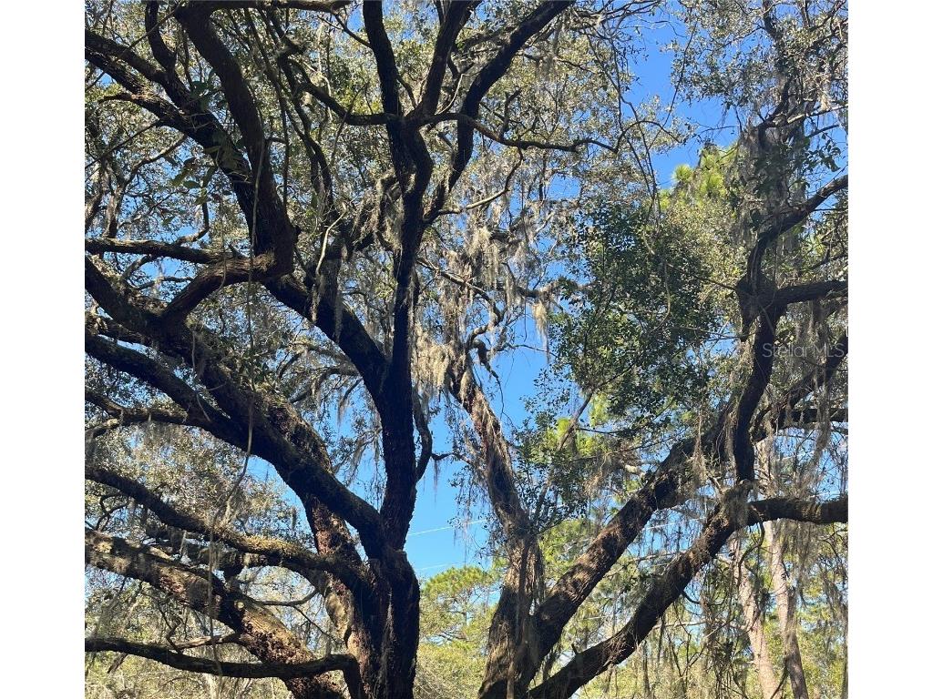 Mount Pleasant Road Groveland FL 34736 G5064948 image13