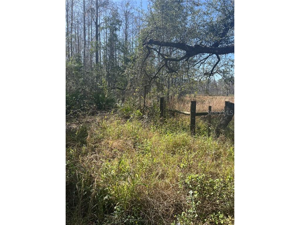 Mount Pleasant Road Groveland FL 34736 G5064948 image14