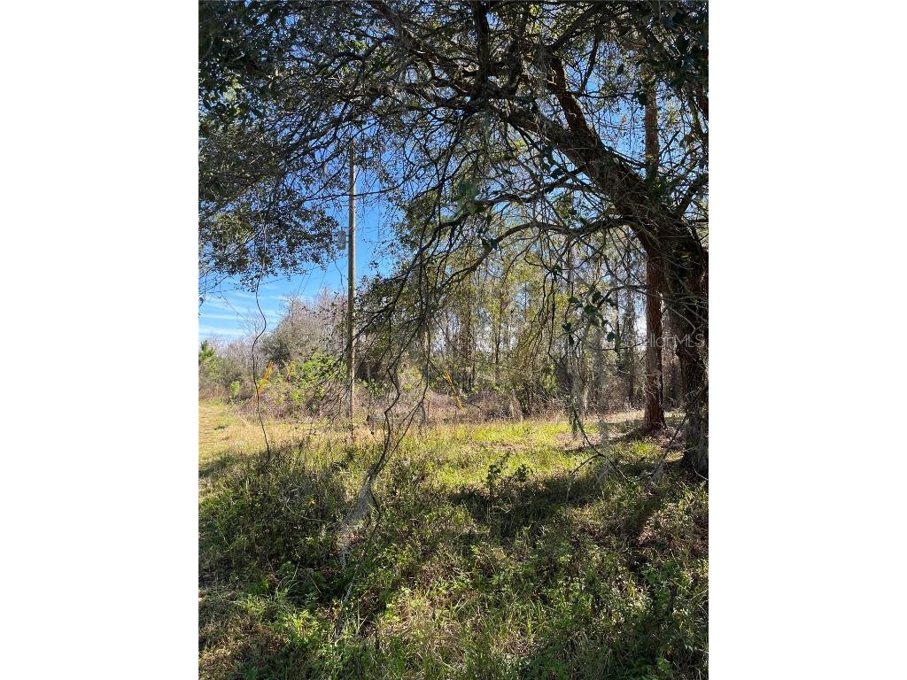 Mount Pleasant Road Groveland FL 34736 G5064948 image2