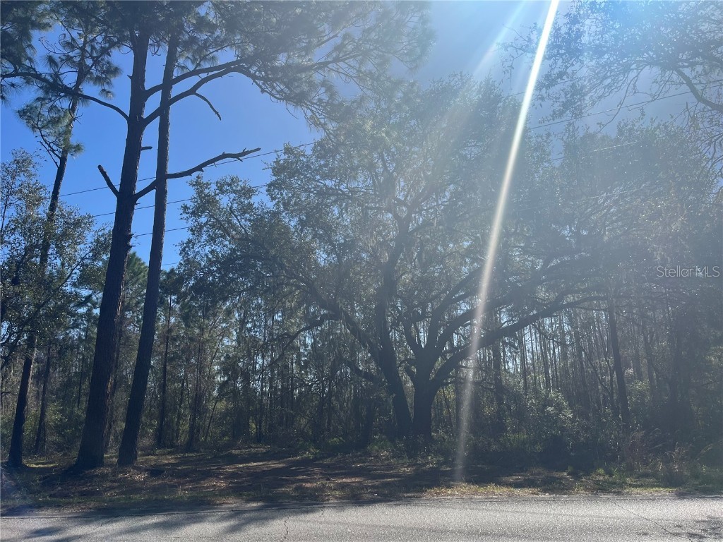 Mount Pleasant Road Groveland FL 34736 G5064948 image5