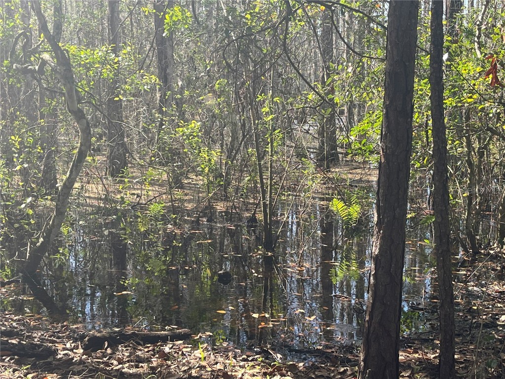 Mount Pleasant Road Groveland FL 34736 G5064948 image8