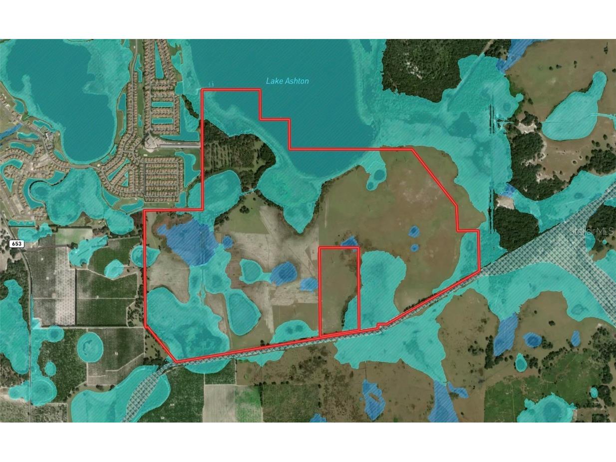 Mountain Lake Cuttoff Lake Wales FL 33859 P4932461 image3