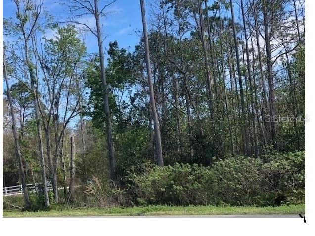 Mt Tabor Road Lakeland FL 33810 S5071780 image4