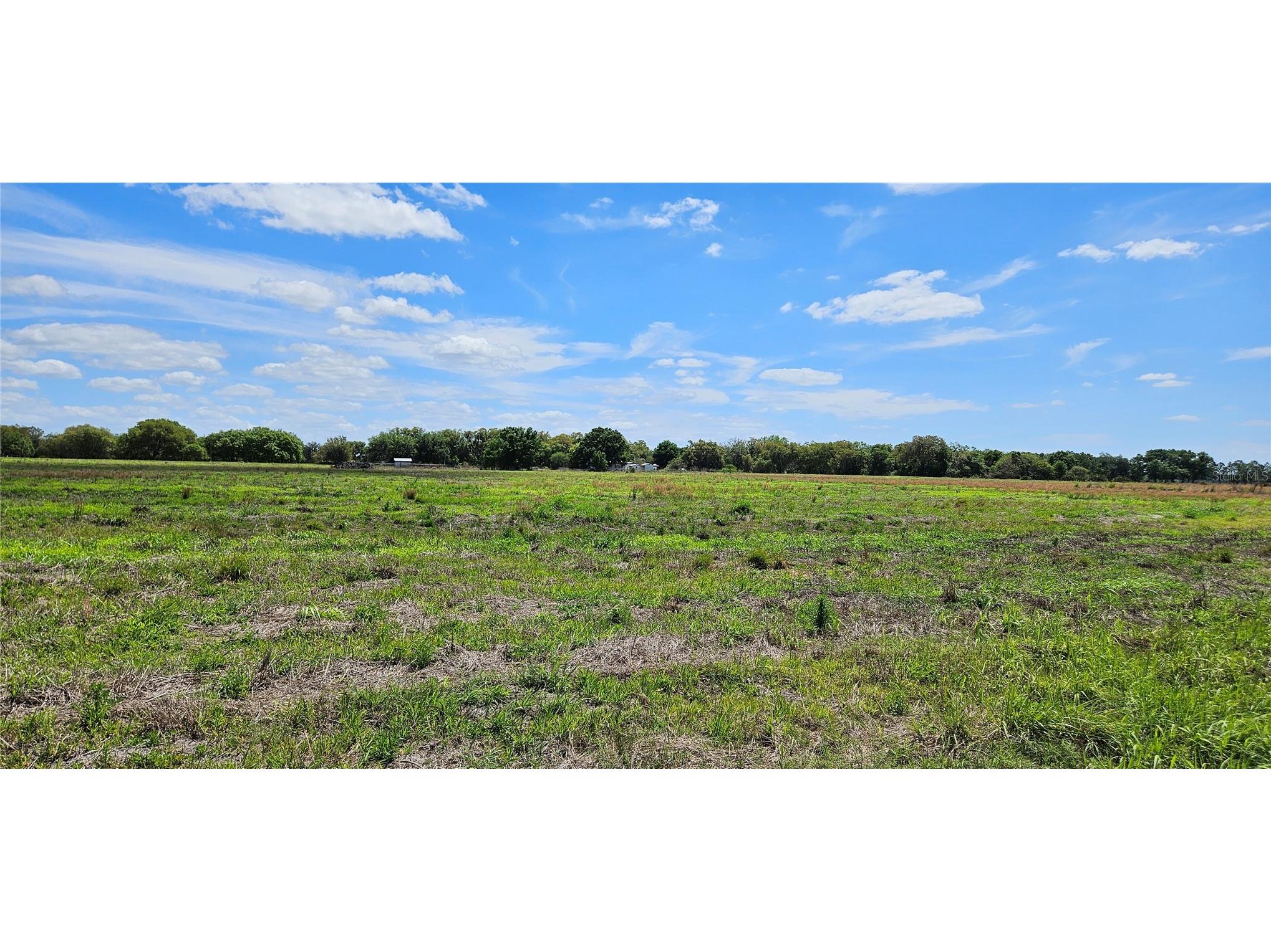 Mt Zion Churf Frostproof FL 33843 L4961084 image6