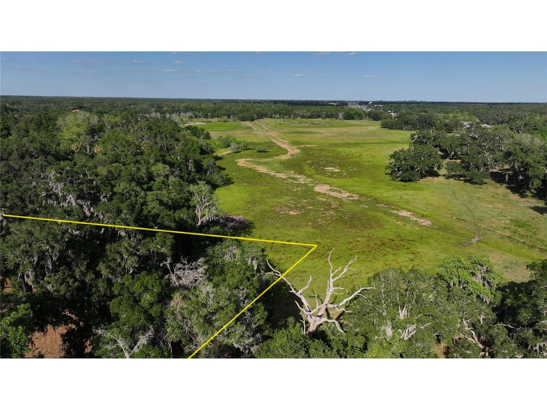 Muck Pond Road Seffner FL 33584 TB8501301 image10