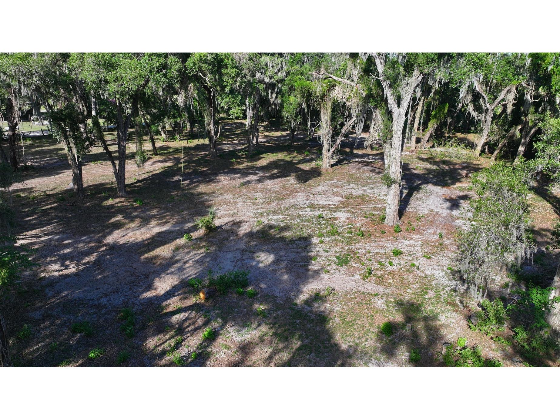 Muck Pond Road Seffner FL 33584 TB8501301 image11