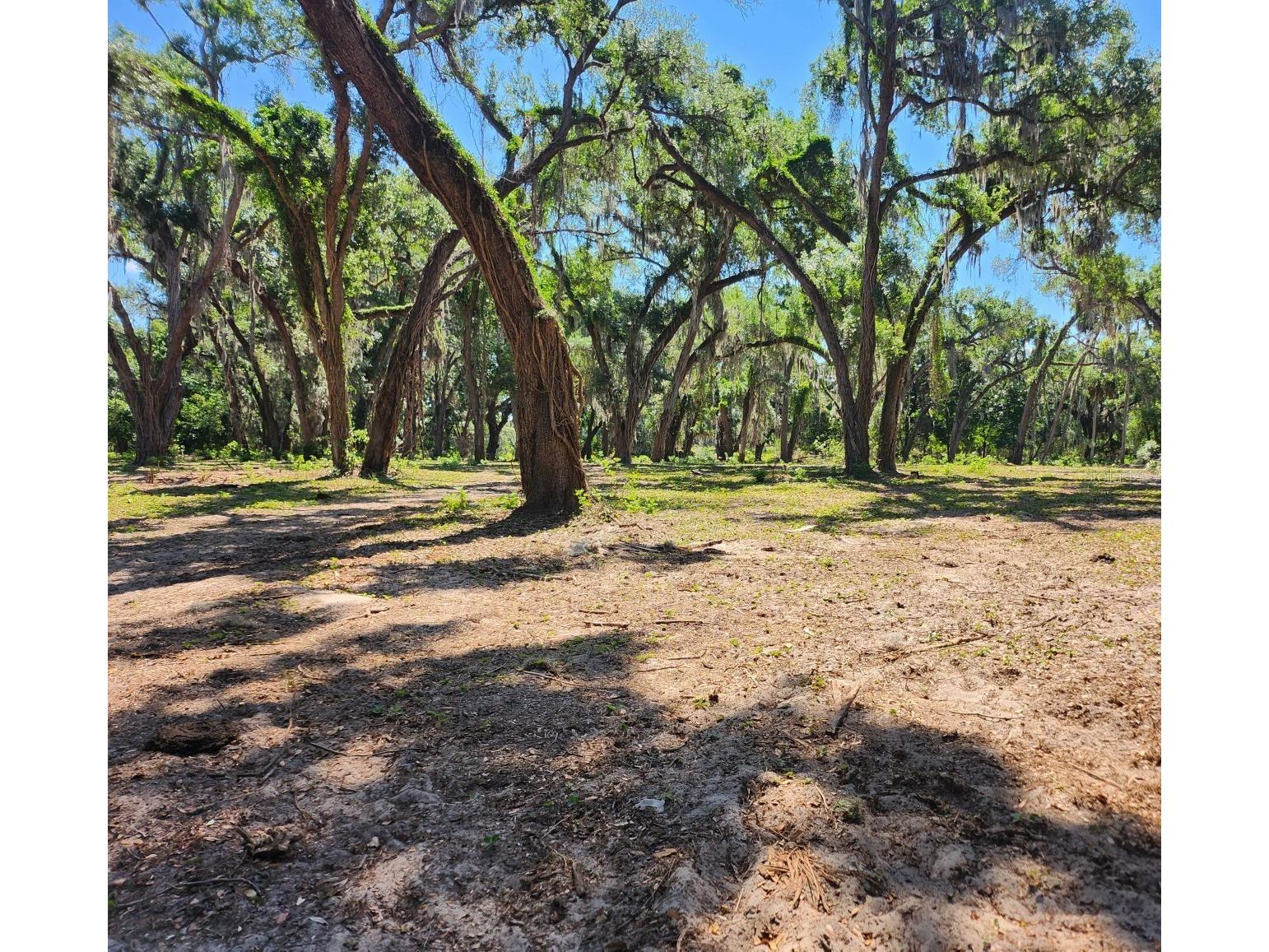 Muck Pond Road Seffner FL 33584 TB8501301 image14