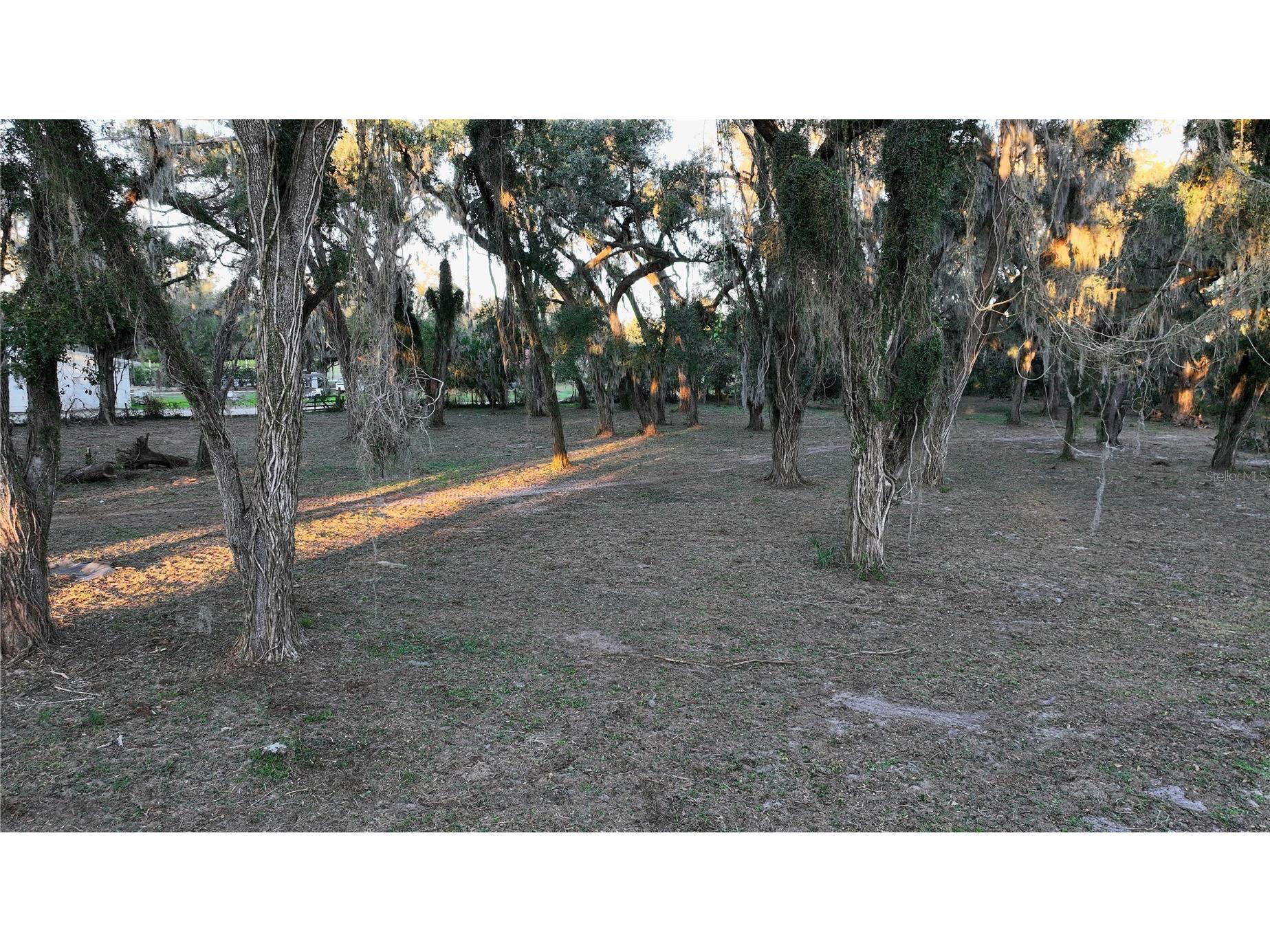 Muck Pond Road Seffner FL 33584 TB8501301 image5