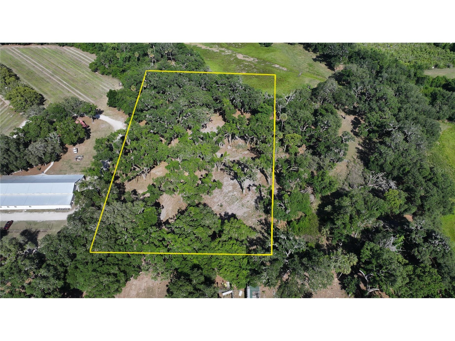 Muck Pond Road Seffner FL 33584 TB8501301 image6