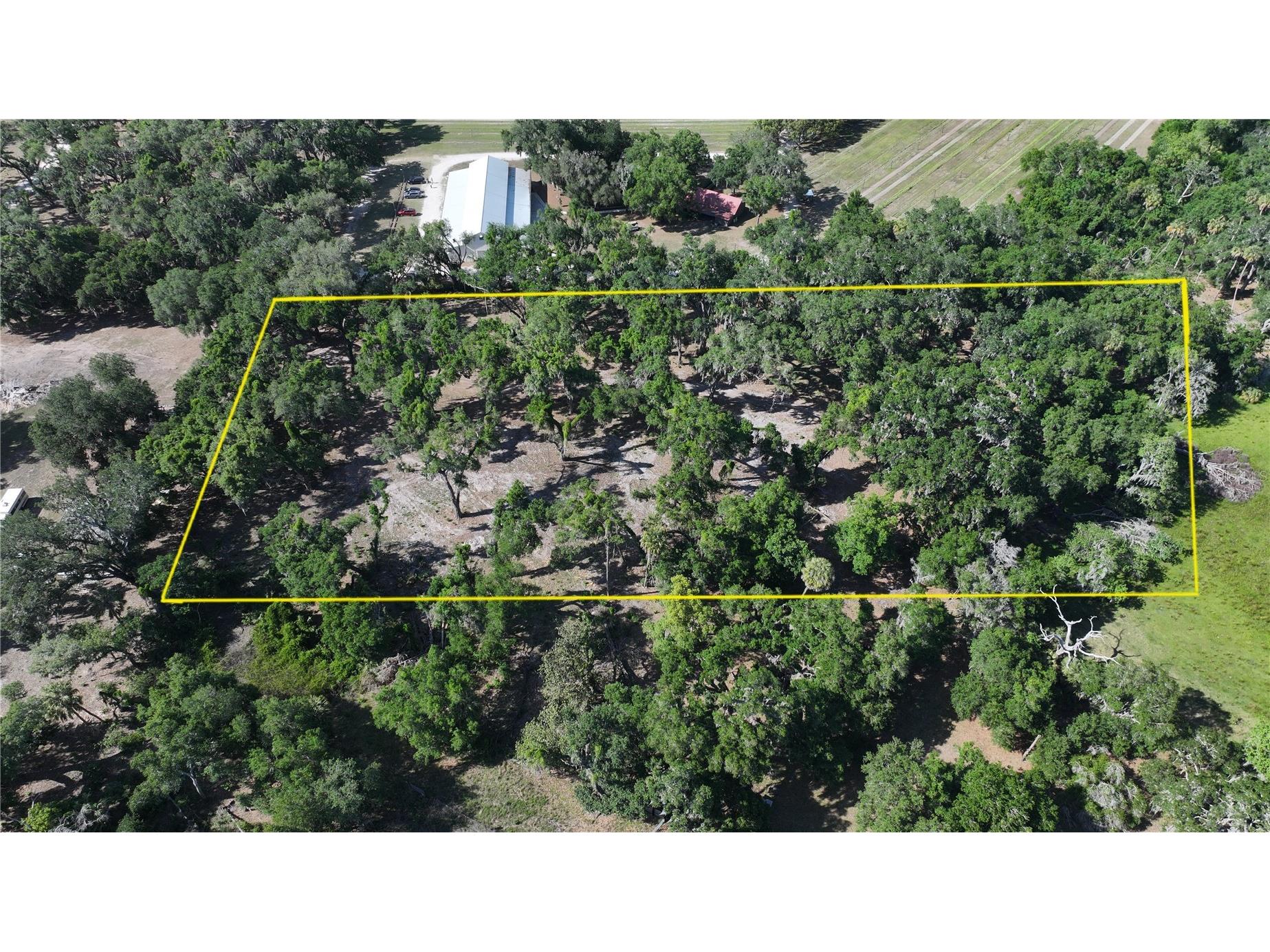 Muck Pond Road Seffner FL 33584 TB8501301 image8