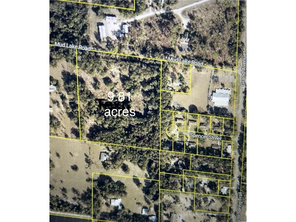 Mud Lake Road De Leon Springs FL 32130 V4942011 image1