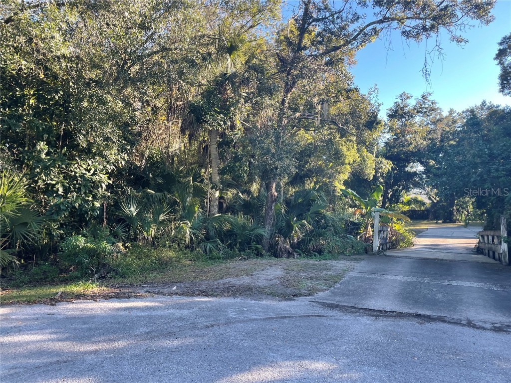 Mueller S Lane Safety Harbor FL 34695 U8143500 image1