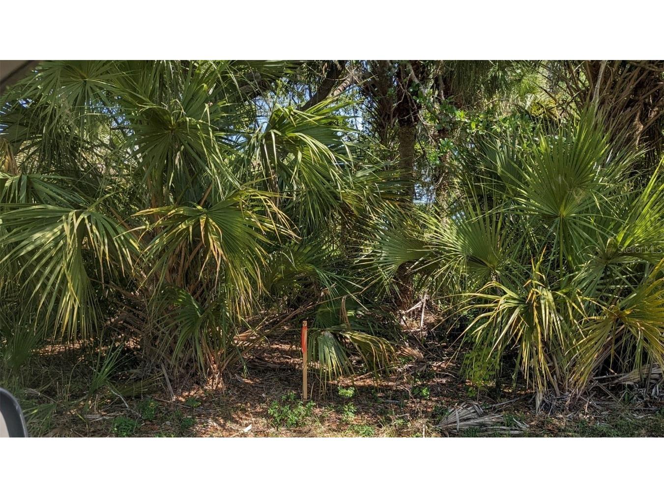 Muglone Lane North Port FL 34286 O6226137 image3