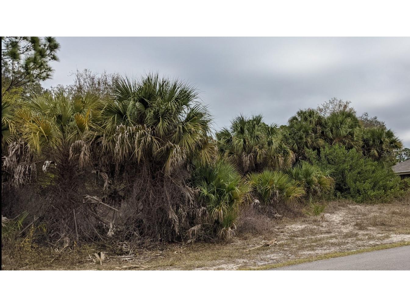 Muglone Lane North Port FL 34286 O6226137 image4