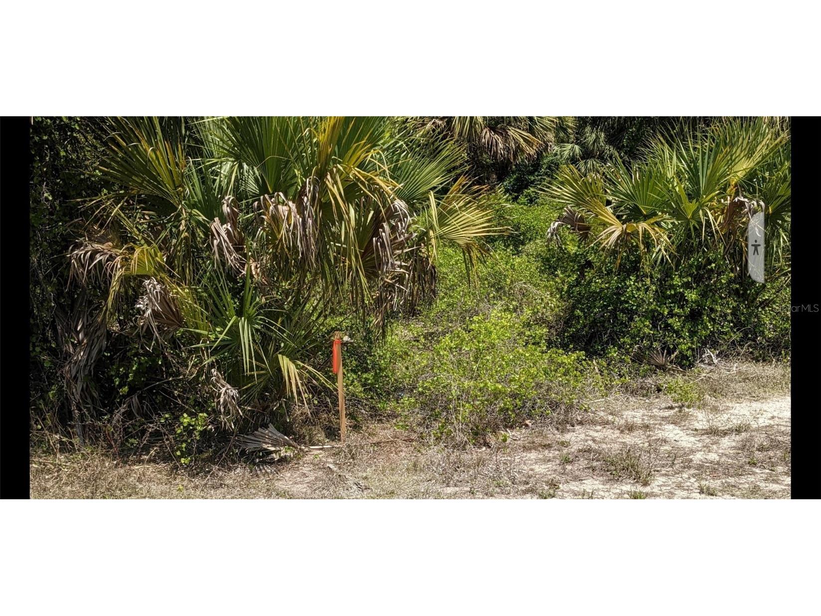 Muglone Lane North Port FL 34286 O6226137 image5