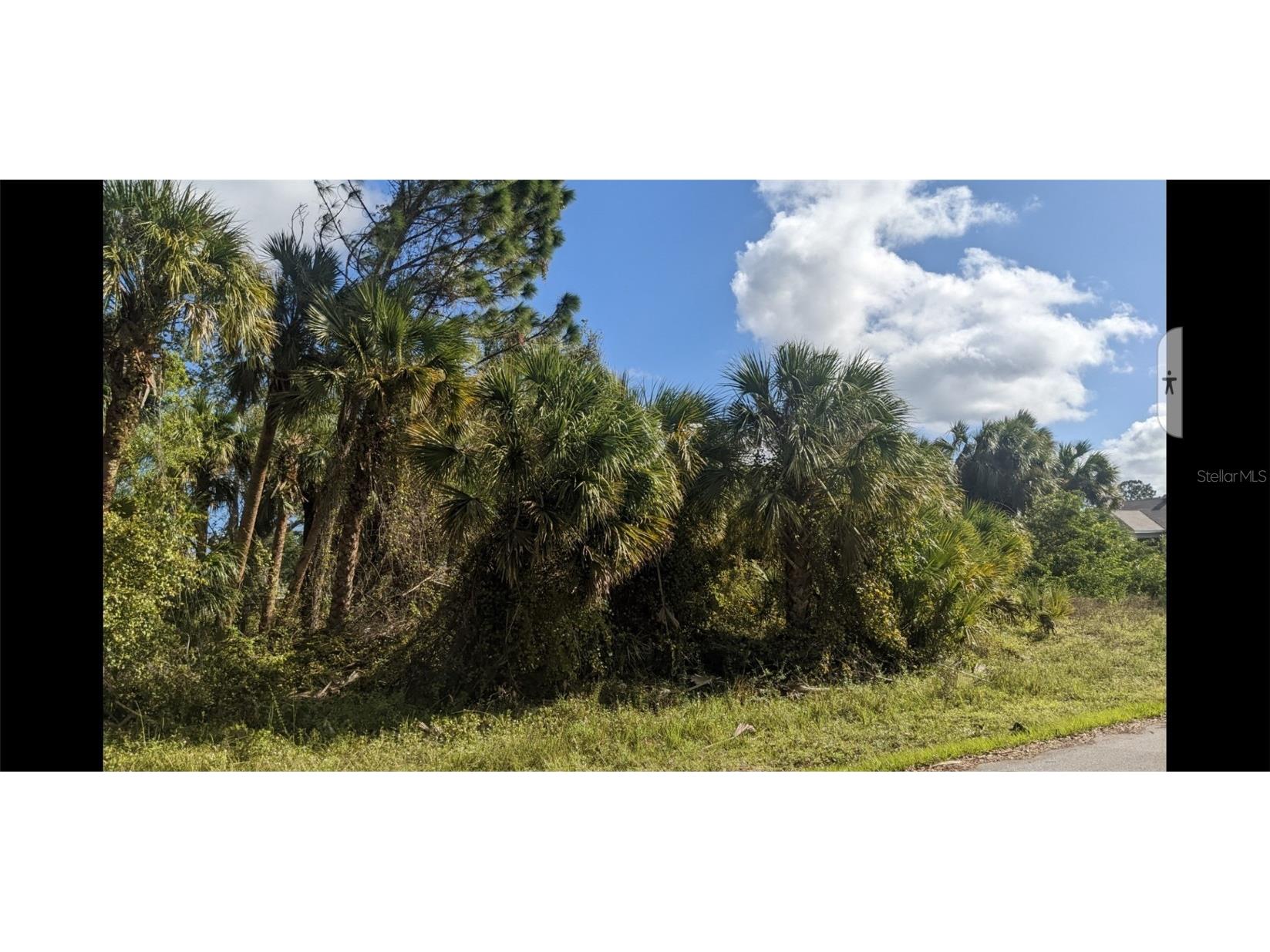 Muglone Lane North Port FL 34286 O6226137 image6