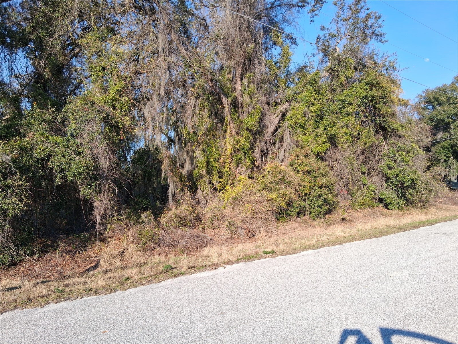 Mulberry Street Groveland FL 34736 - LAKE EMMA G5107487 image1