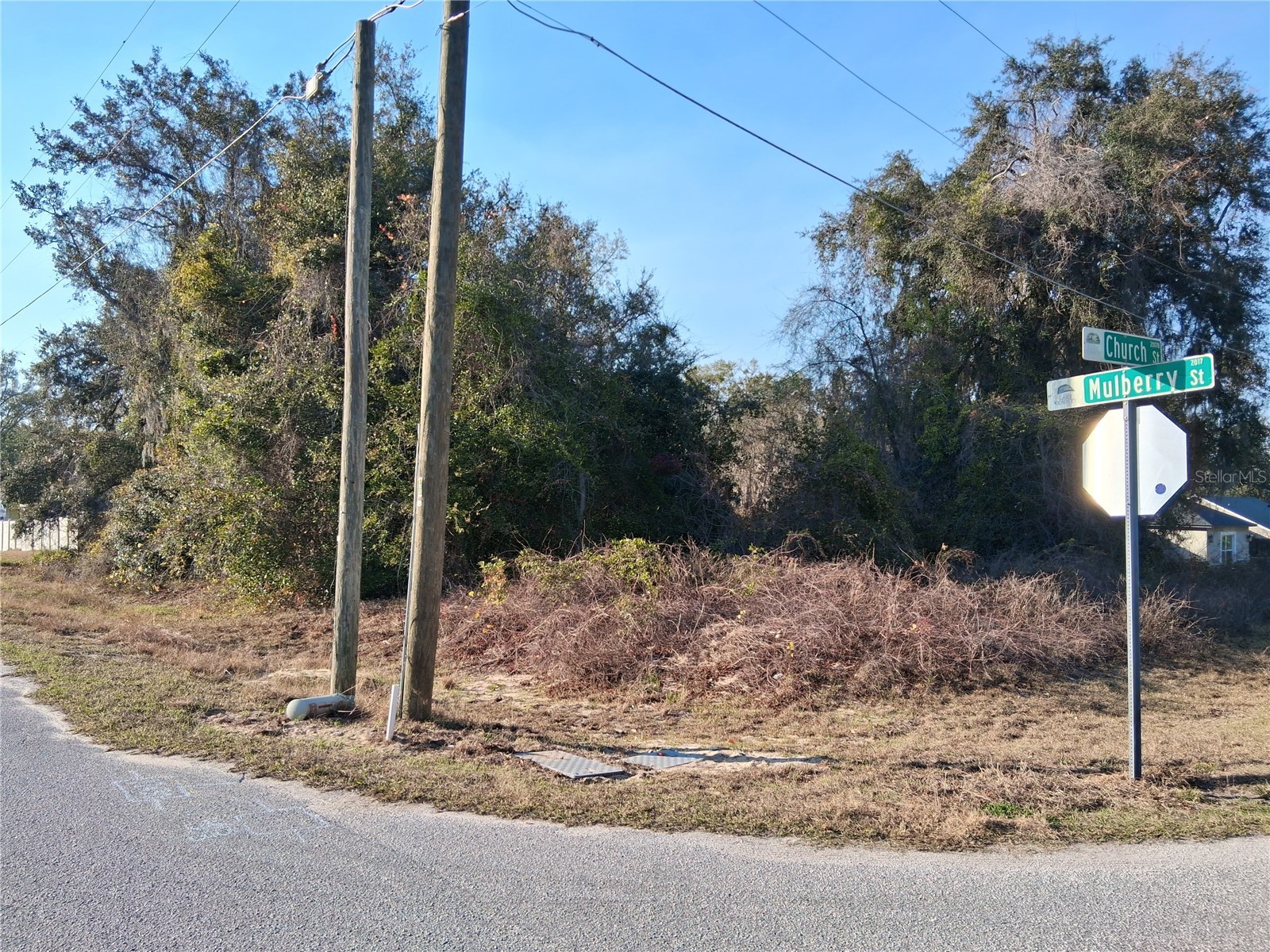 Mulberry Street Groveland FL 34736 - LAKE EMMA G5107487 image2
