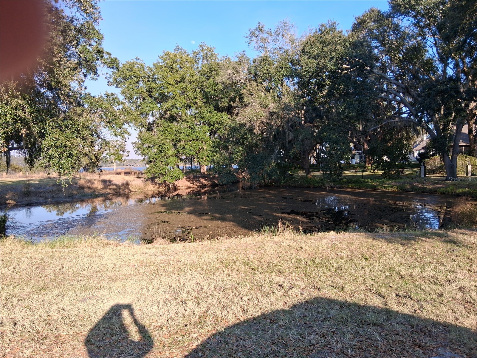 Mulberry Street Groveland FL 34736 - LAKE EMMA G5107487 image4