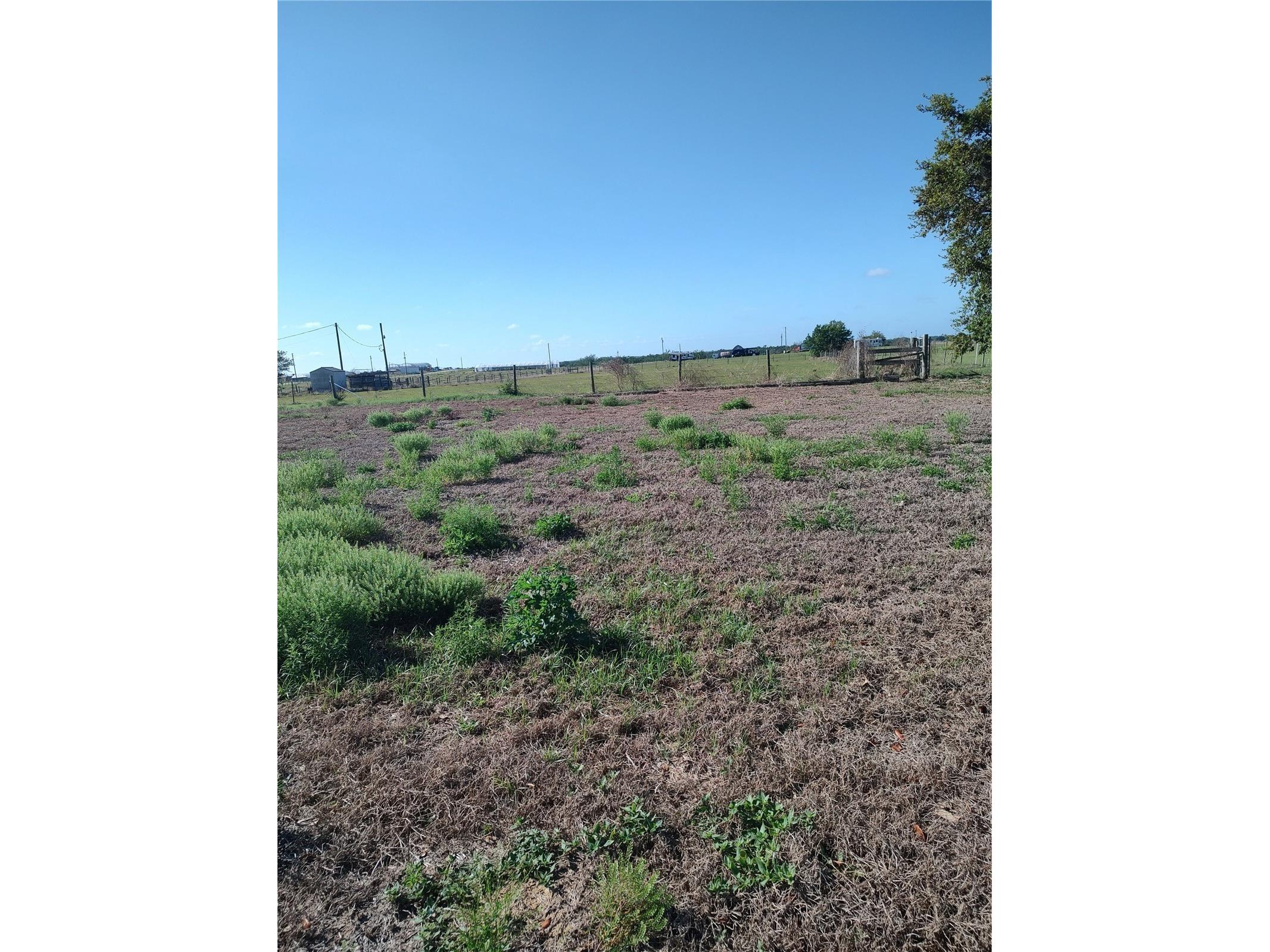 Mullinsville Rd. Frostproof FL 33843 K4903384 image5