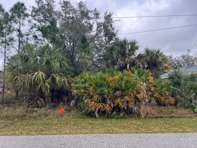 Muncey Road North Port FL 34291 C7486424 image1