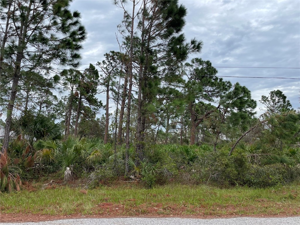 Munsing Avenue North Port FL 34291 C7467156 image1