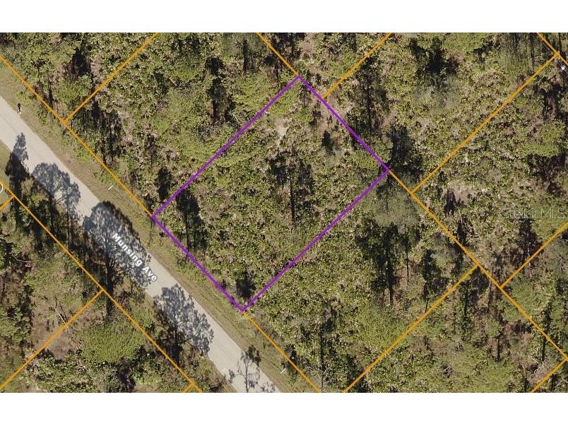 Munsing Avenue North Port FL 34291 U8213928 image1