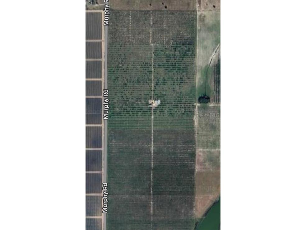 Murphy Road Bartow FL 33830 TB8356597 image3