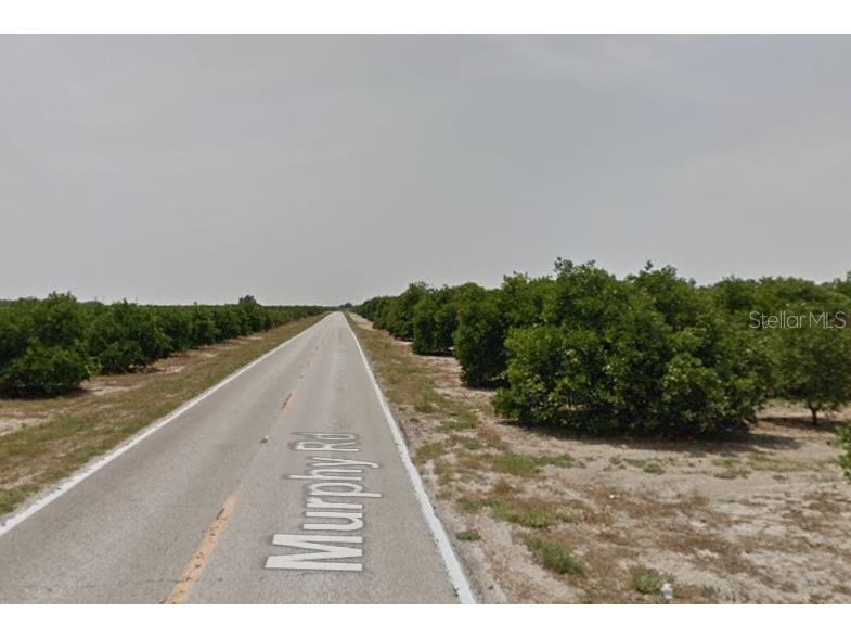 Murphy Road Bartow FL 33830 TB8356597 image4