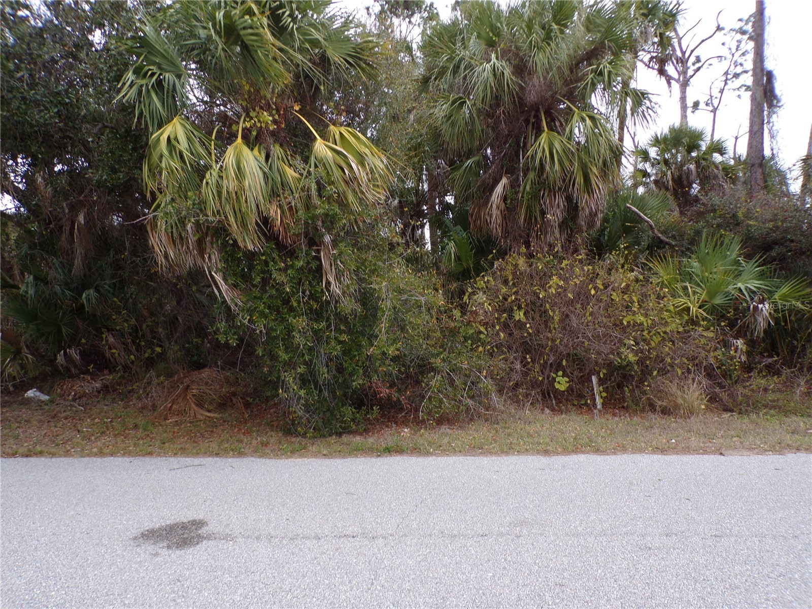 Music Lane North Port FL 34286 C7520519 image1