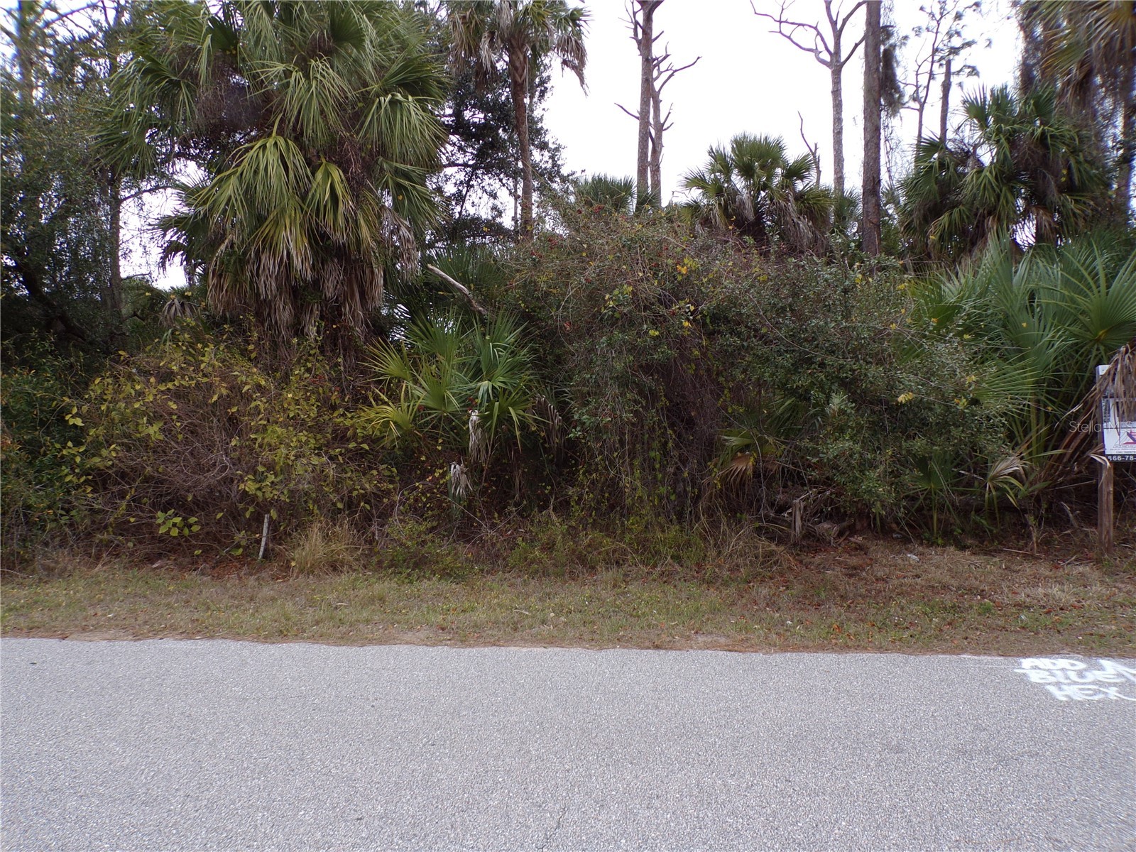 Music Lane North Port FL 34286 C7520519 image5