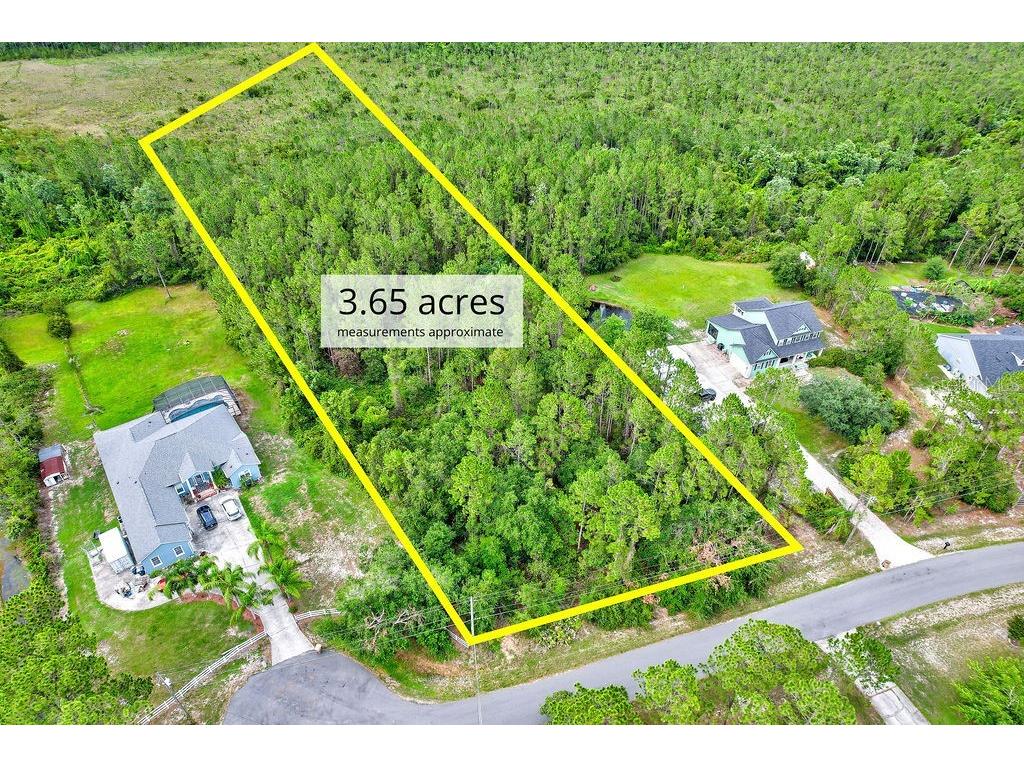 Mustang Court Saint Cloud FL 34771 TB8391047 image1