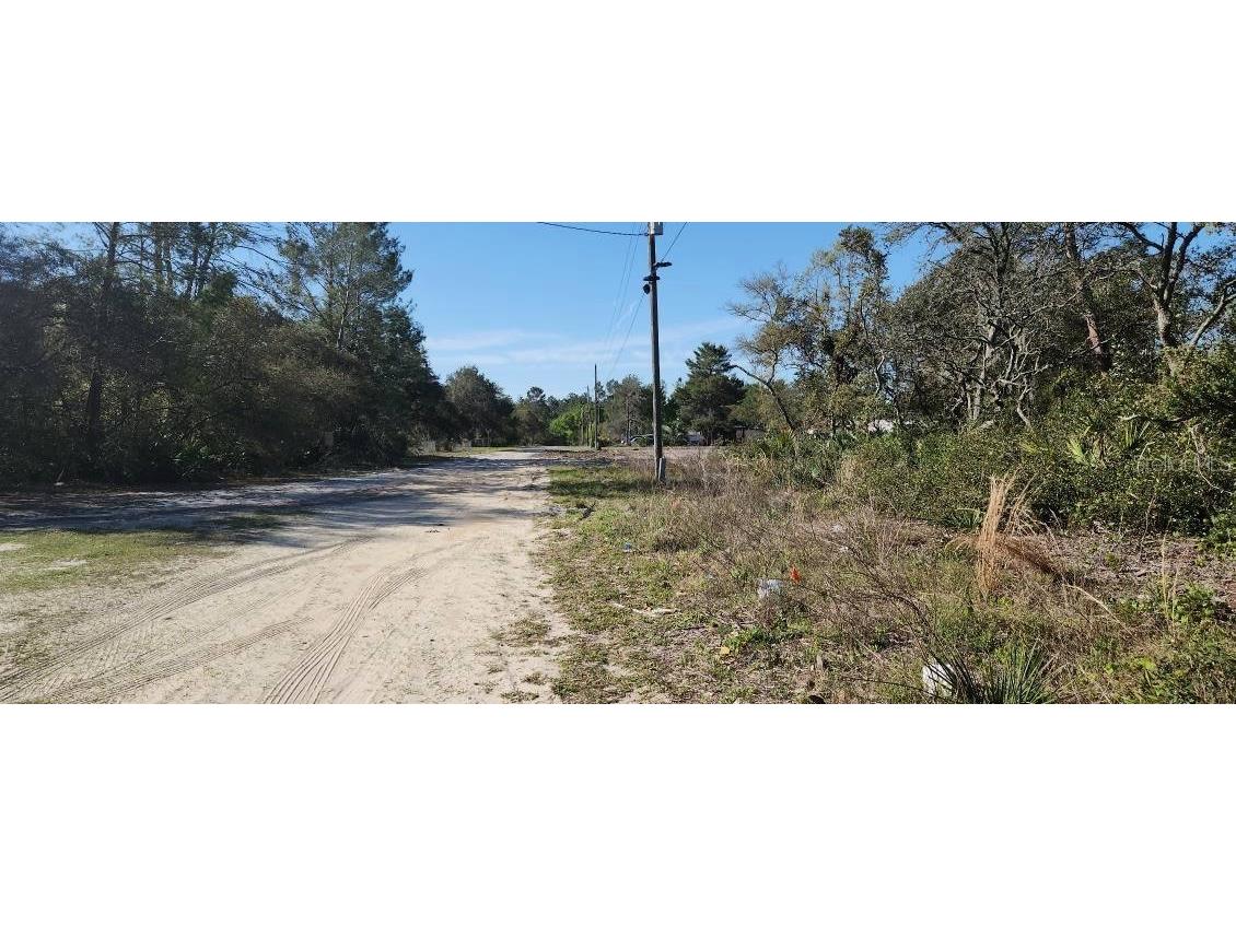 Myrtle Street Paisley FL 32767 O6291267 image2